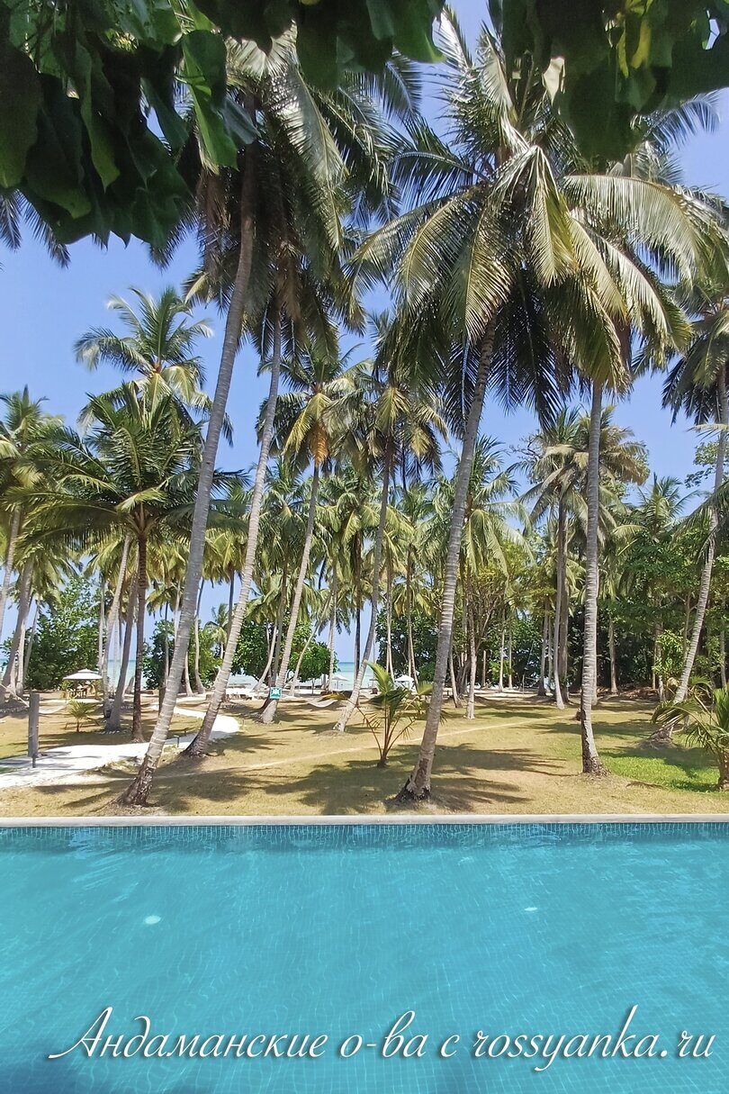 Vijaynagar8